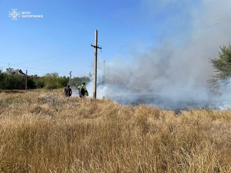 У Запорізькій області ліквідували майже два десятки пожеж на відкритих територіях