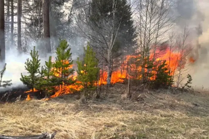 У Києві на вихідні оголошено надзвичайний рівень пожежної небезпеки