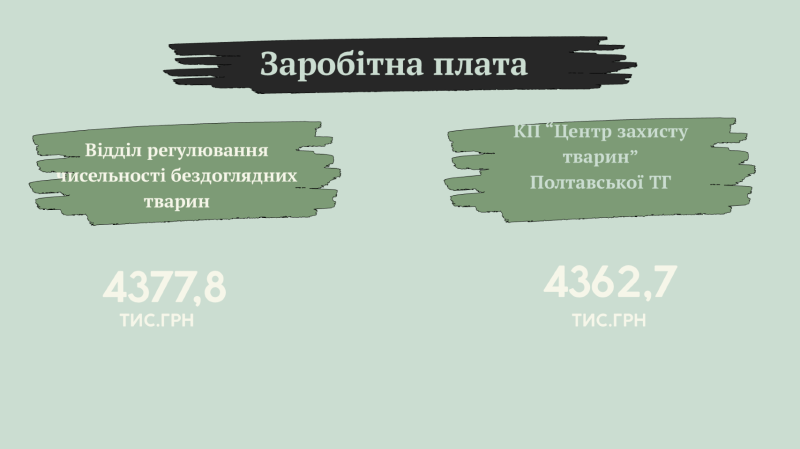 Створення комунального підприємства для захисту тварин у Полтаві: волонтери оцінюють потребу у 9 млн грн, влада — втричі більше