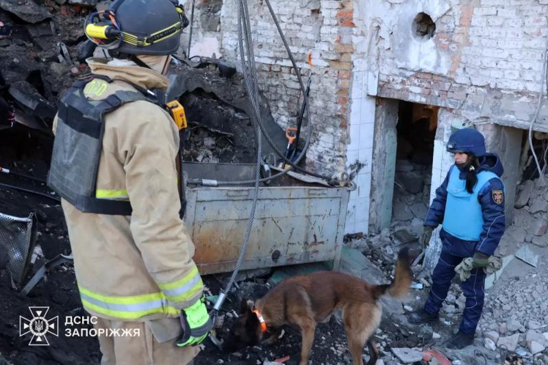 Рятувальники та кінологи третій день шукають зниклого чоловіка на місці ракетної атаки в Запоріжжі, - ФОТО, ВІДЕО