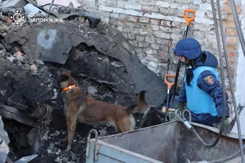 Рятувальники та кінологи третій день шукають зниклого чоловіка на місці ракетної атаки в Запоріжжі, - ФОТО, ВІДЕО