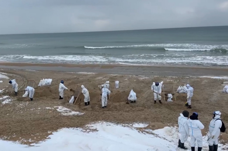 «Такої кількості мазуту акваторія жодного моря не отримувала». Що буде з Чорним морем після аварії російських танкерів