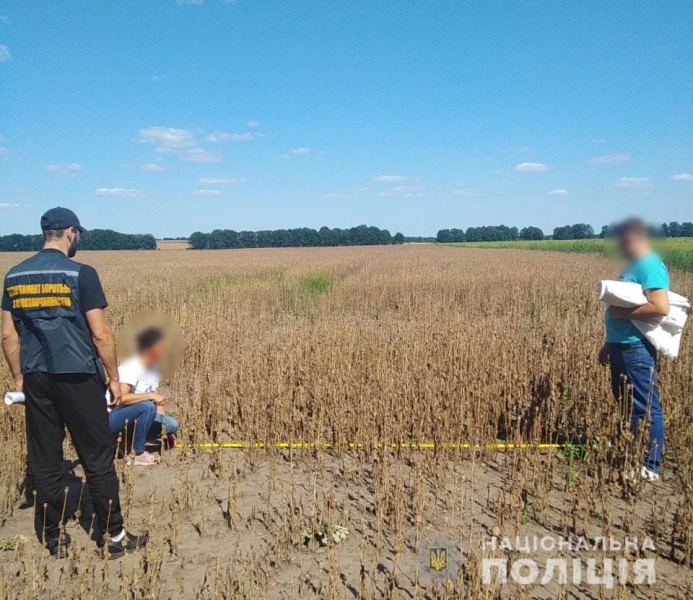 Підприємець отримав 5 років ув’язнення за незаконне вирощення маку на полі в майже 300 га у Кременчуцькому районі