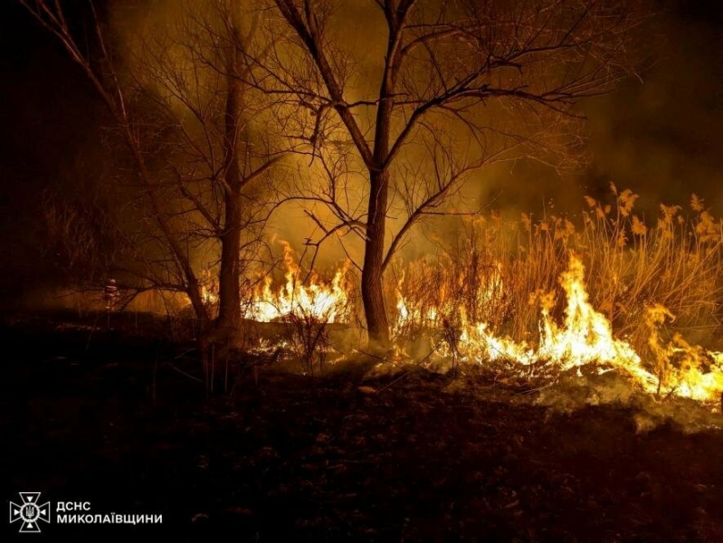 Вогонь не вщухає: за добу на Миколаївщині вигоріло понад 11 гектарів